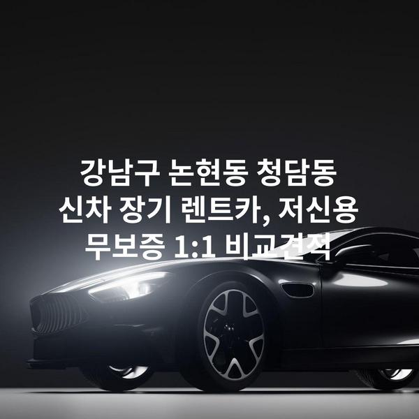강남구 논현동 청담동 신차 장기 렌트카, 저신용 무보증 1:1 비교견적