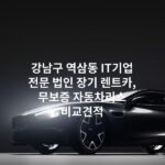 강남구 역삼동 IT기업 전문 법인 장기 렌트카, 무보증 자동차리스 비교견적