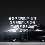 광진구 건대입구 신차 장기 렌트카, 저신용 무보증 자동차리스 비교견적
