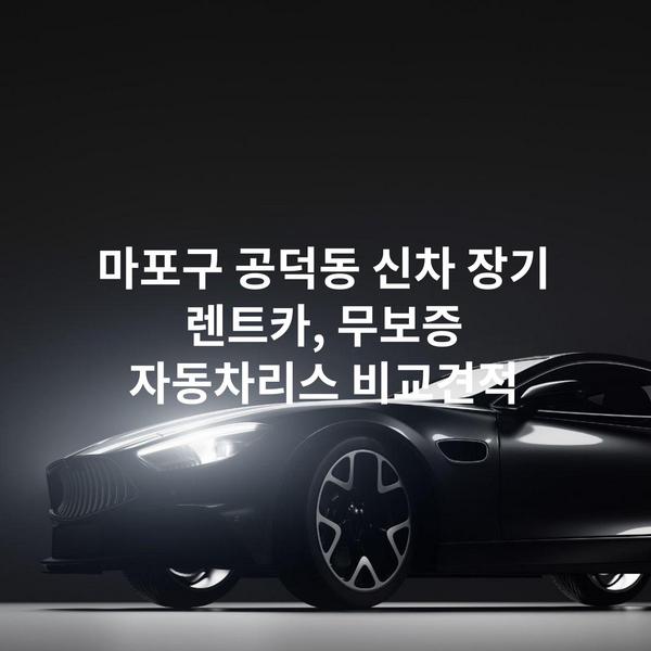 마포구 공덕동 신차 장기 렌트카, 무보증 자동차리스 비교견적
