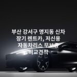 부산 강서구 명지동 신차 장기 렌트카, 저신용 자동차리스 무보증 비교견적