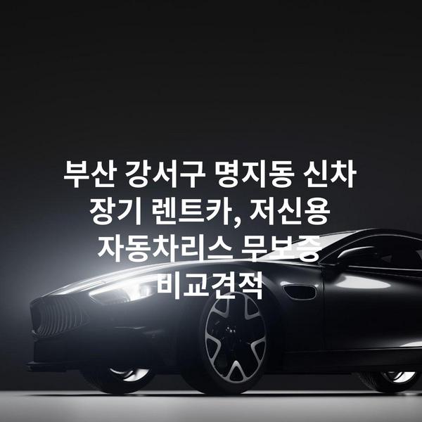 부산 강서구 명지동 신차 장기 렌트카, 저신용 자동차리스 무보증 비교견적