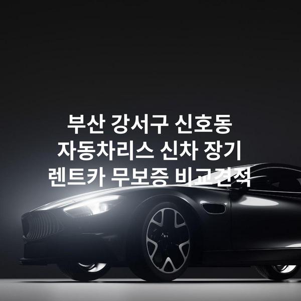 부산 강서구 신호동 자동차리스 신차 장기 렌트카 무보증 비교견적
