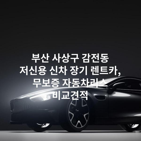 부산 사상구 감전동 저신용 신차 장기 렌트카, 무보증 자동차리스 비교견적