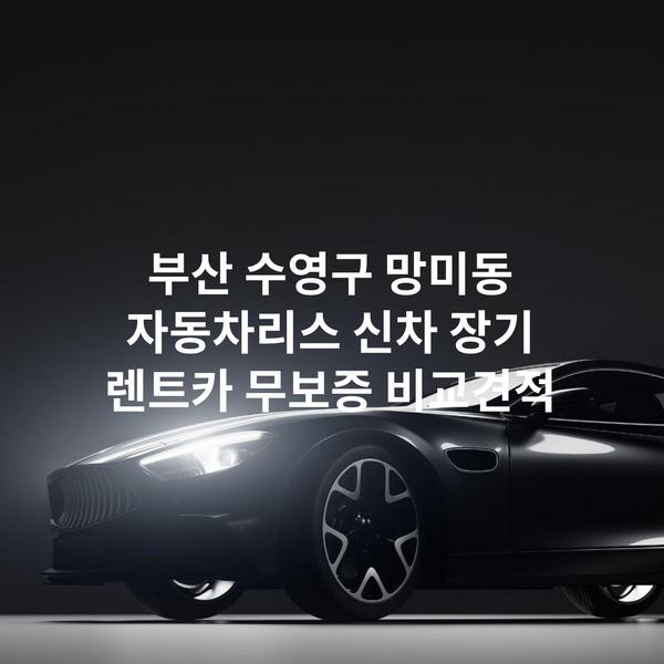 부산 수영구 망미동 자동차리스 신차 장기 렌트카 무보증 비교견적
