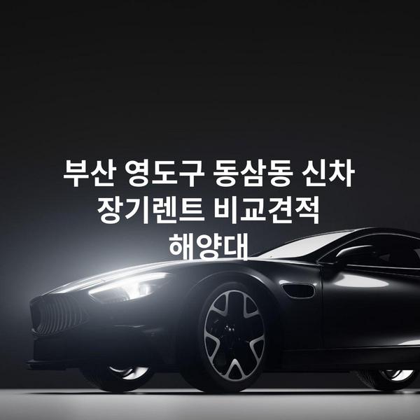 부산 영도구 동삼동 신차 장기렌트 비교견적 해양대