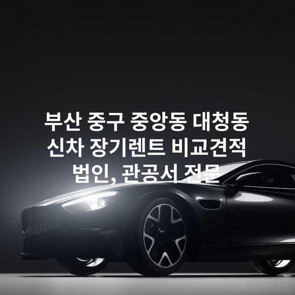 부산 중구 중앙동 대청동 신차 장기렌트 비교견적 법인, 관공서 전문