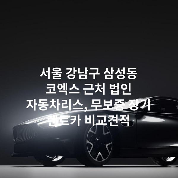 서울 강남구 삼성동 코엑스 근처 법인 자동차리스, 무보증 장기 렌트카 비교견적