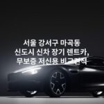 서울 강서구 마곡동 신도시 신차 장기 렌트카, 무보증 저신용 비교견적