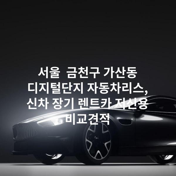 서울 금천구 가산동 디지털단지 자동차리스, 신차 장기 렌트카 저신용 비교견적