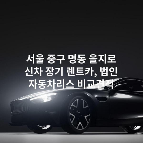 서울 중구 명동 을지로 신차 장기 렌트카, 법인 자동차리스 비교견적