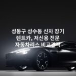 성동구 성수동 신차 장기 렌트카, 저신용 전문 자동차리스 비교견적