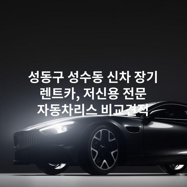 성동구 성수동 신차 장기 렌트카, 저신용 전문 자동차리스 비교견적