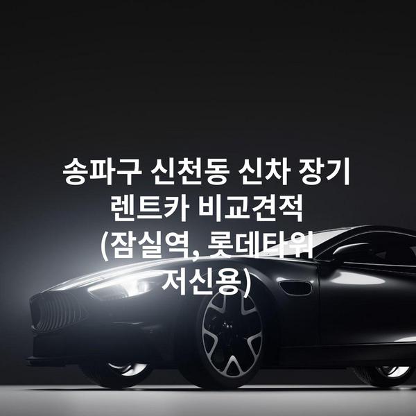 송파구 신천동 신차 장기 렌트카 비교견적 (잠실역, 롯데타워 저신용)