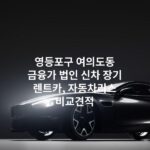영등포구 여의도동 금융가 법인 신차 장기 렌트카, 자동차리스 비교견적
