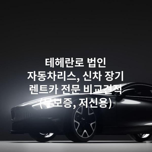 테헤란로 법인 자동차리스, 신차 장기 렌트카 전문 비교견적 (무보증, 저신용)