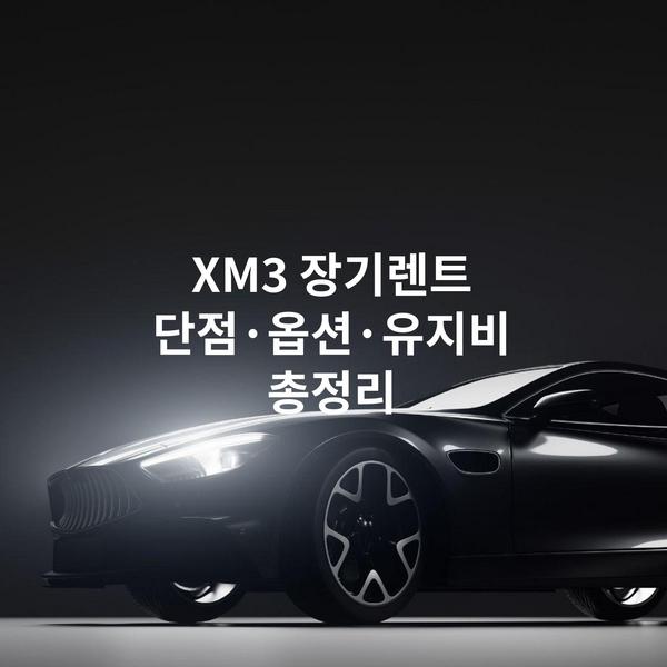 XM3 장기렌트 단점·옵션·유지비 총정리