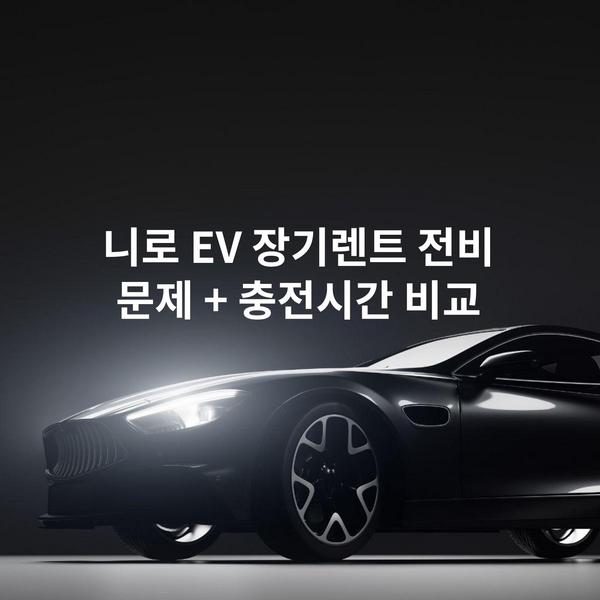 니로 EV 장기렌트 전비 문제 + 충전시간 비교