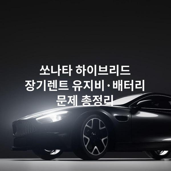 쏘나타 하이브리드 장기렌트 유지비·배터리 문제 총정리