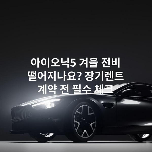 아이오닉5 겨울 전비 떨어지나요? 장기렌트 계약 전 필수 체크