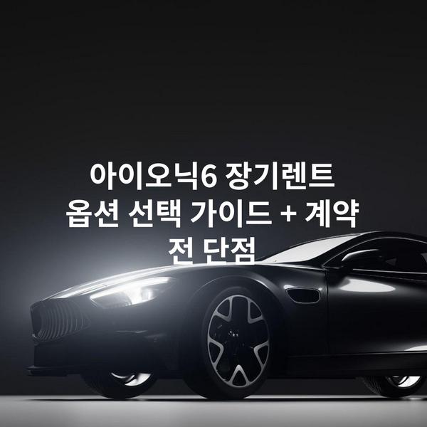 아이오닉6 장기렌트 옵션 선택 가이드 + 계약 전 단점