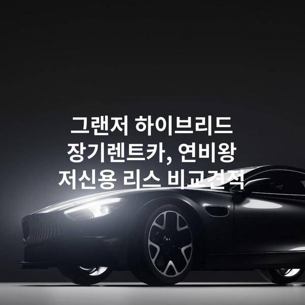 그랜저 하이브리드 장기렌트카, 연비왕 저신용 리스 비교견적