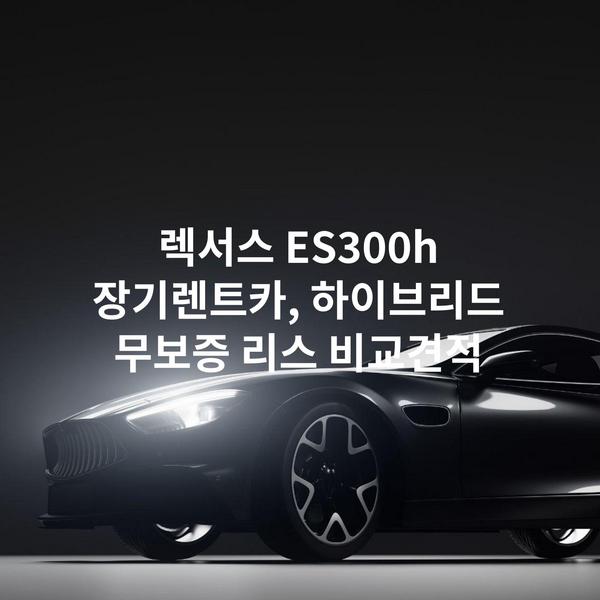 렉서스 ES300h 장기렌트카, 하이브리드 무보증 리스 비교견적