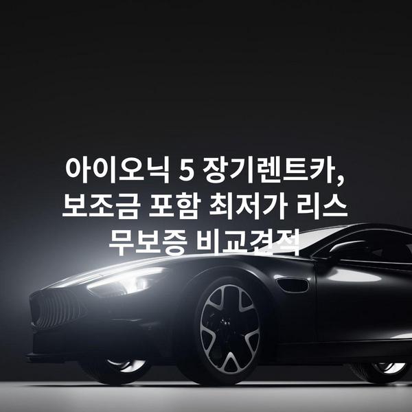 아이오닉 5 장기렌트카, 보조금 포함 최저가 리스 무보증 비교견적
