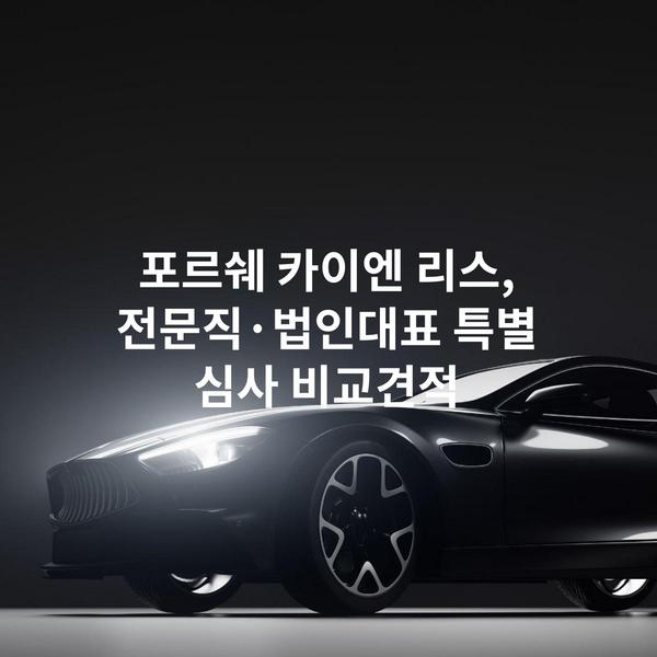 포르쉐 카이엔 리스, 전문직·법인대표 특별 심사 비교견적