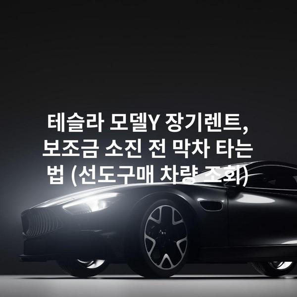 테슬라 모델Y 장기렌트, 보조금 소진 전 막차 타는 법 (선도구매 차량 조회)